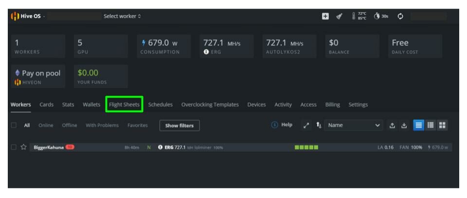 Hive OS T-Rex Dual Mining Setup - Step 2